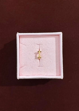 Spelling huggie I Forgyldt Pico 